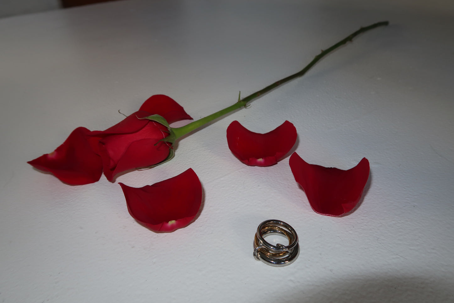 chloe ring